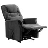 FAUTEUIL RELEVEUR EASY II