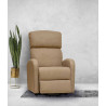 FAUTEUIL RELEVEUR OLIVE